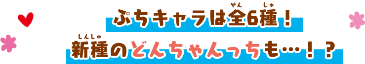 ぷちキャラは全6種！新種のどんちゃんっちも…！？