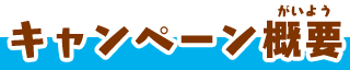 キャンペーン概要